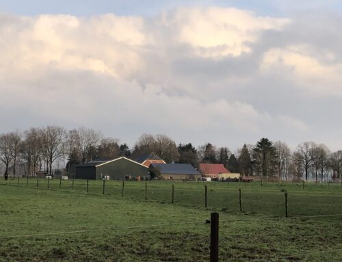 Drents landschap