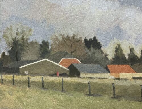 Drents landschap II