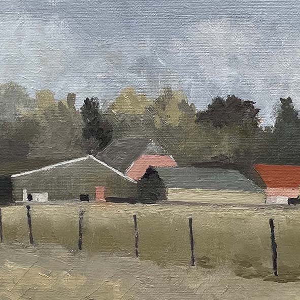 Drents landschap 1