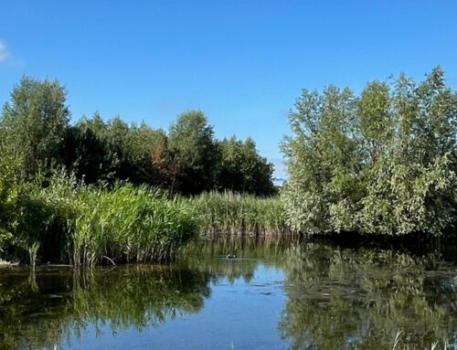 Nieuw schilderproject